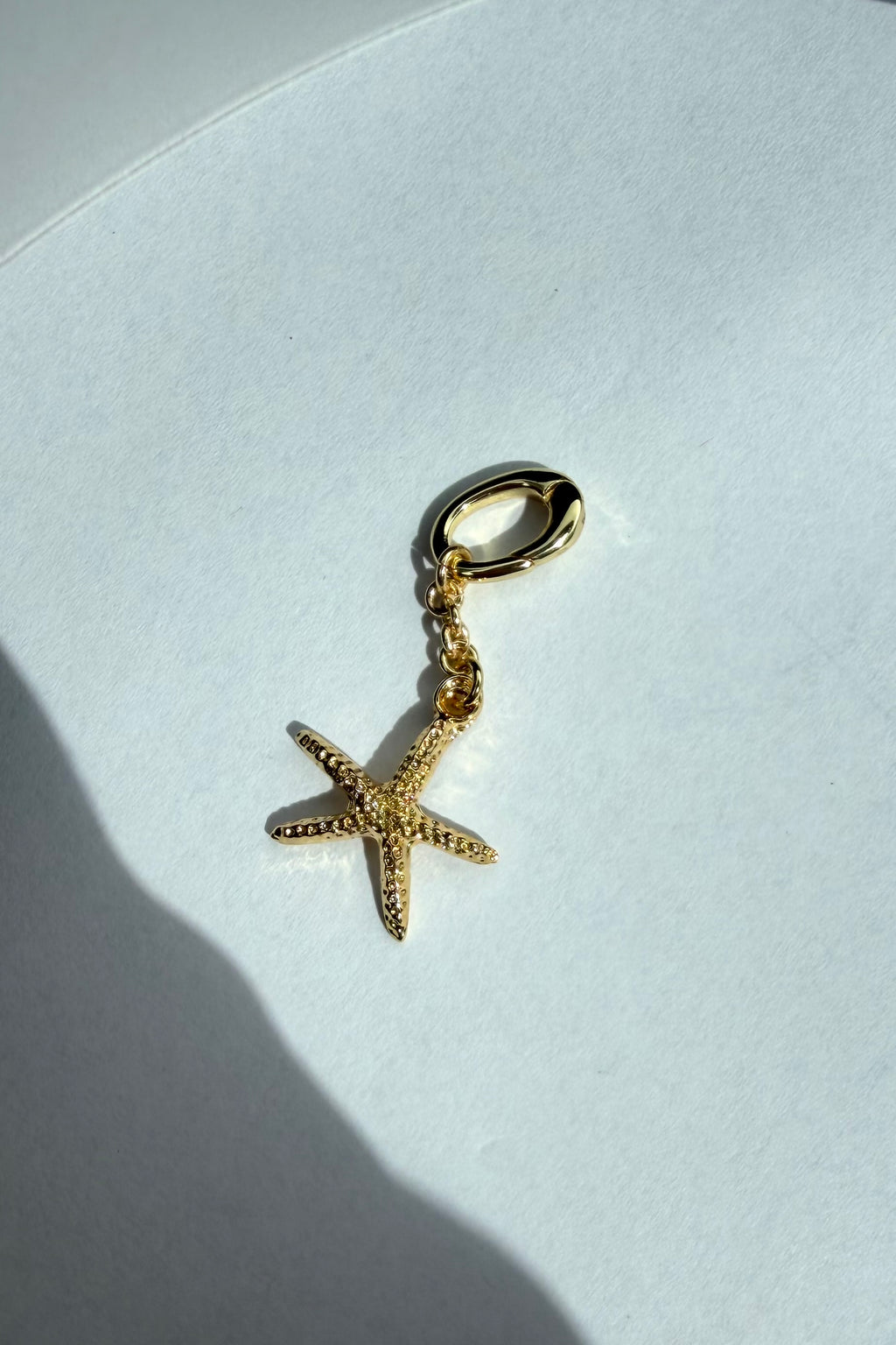 Sea Star Bikini Charm