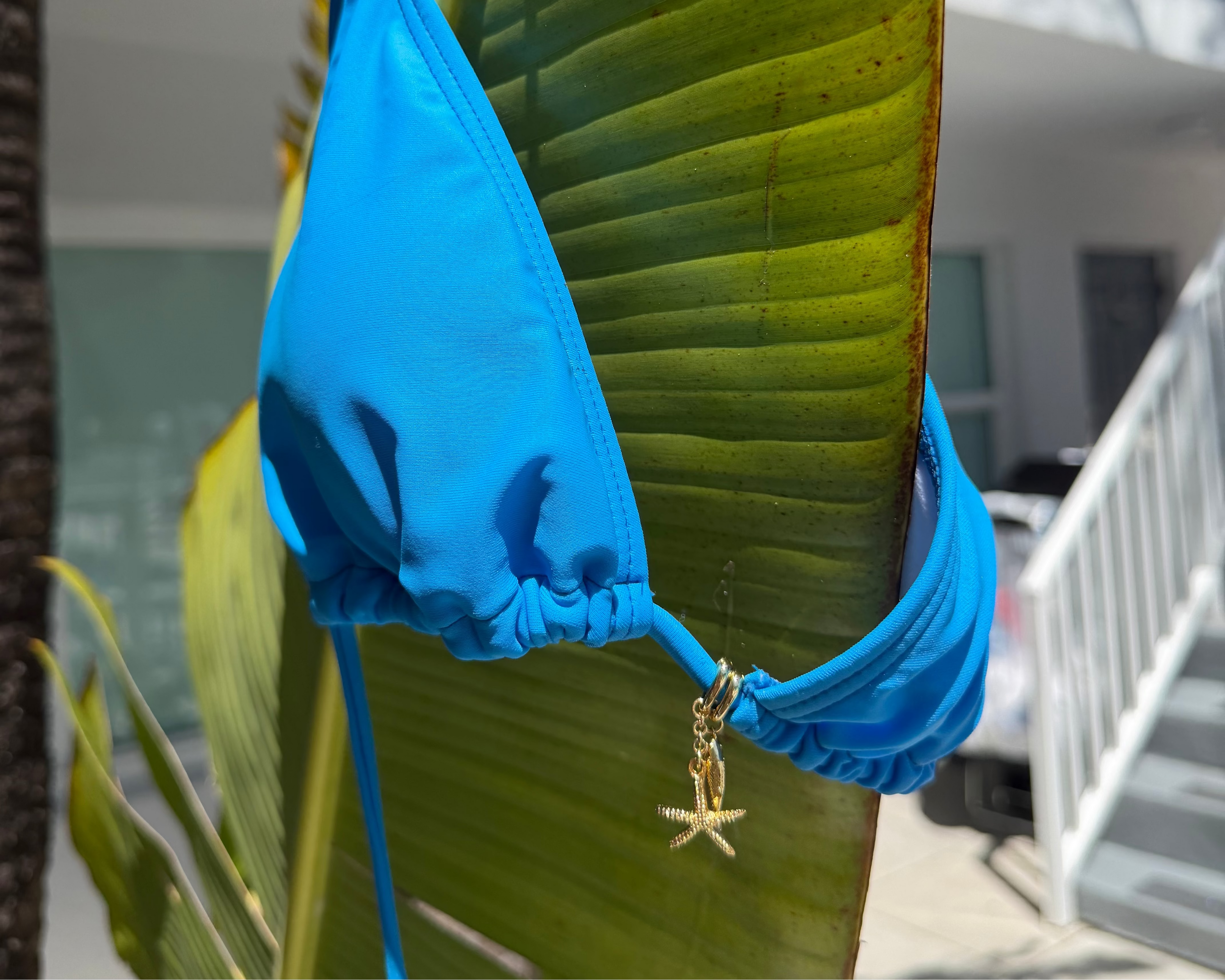 Blue bikini top with a starfish charm hanging on a large green leaf